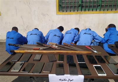 173 مالخر و سارق در شهرستان ری دستگیر شدند | فرمانده انتظامی